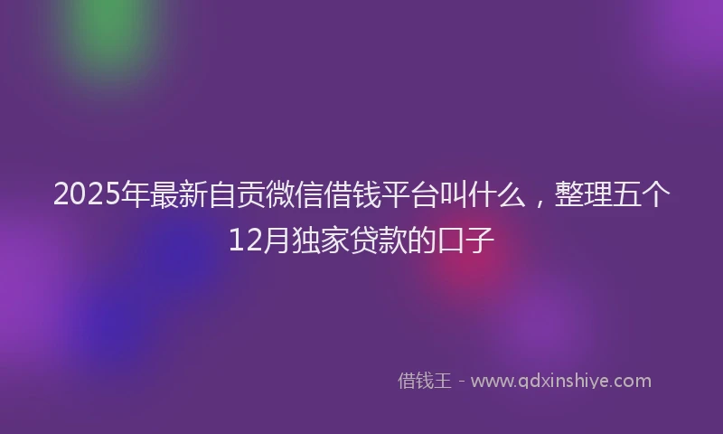 2025年最新自贡微信借钱平台叫什么，整理五个12月独家贷款的口子