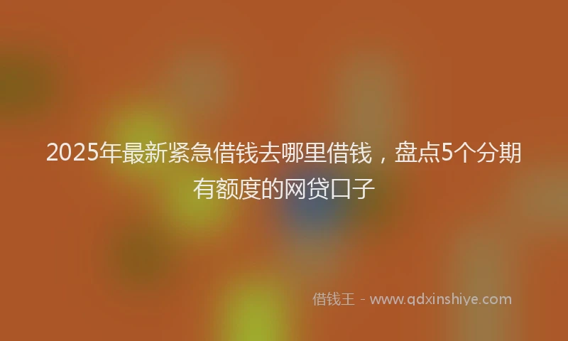 2025年最新紧急借钱去哪里借钱，盘点5个分期有额度的网贷口子