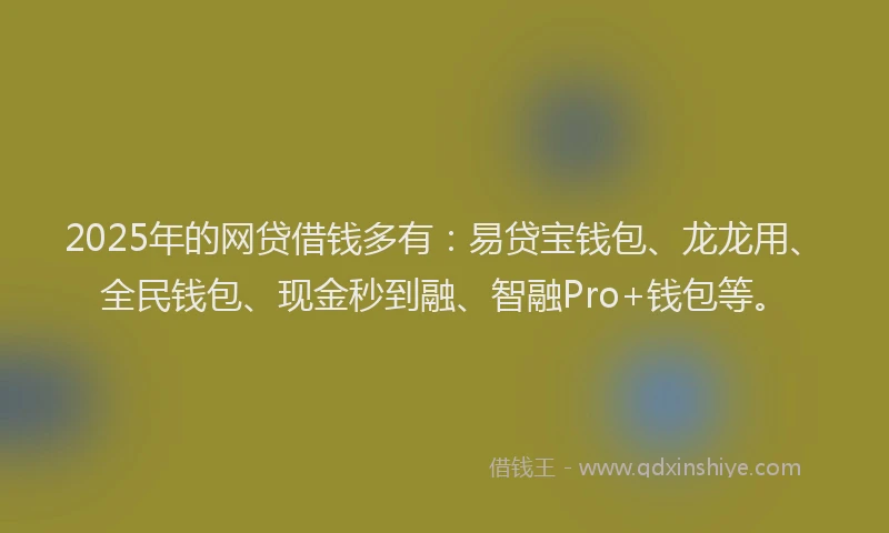 2025年的网贷借钱多有：易贷宝钱包、龙龙用、全民钱包、现金秒到融、智融Pro+钱包等。