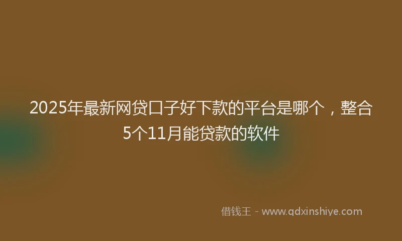 2025年最新网贷口子好下款的平台是哪个，整合5个11月能贷款的软件