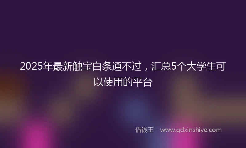 2025年最新触宝白条通不过，汇总5个大学生可以使用的平台
