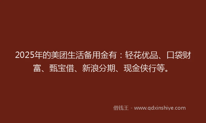 2025年的美团生活备用金有：轻花优品、口袋财富、甄宝借、新浪分期、现金侠行等。