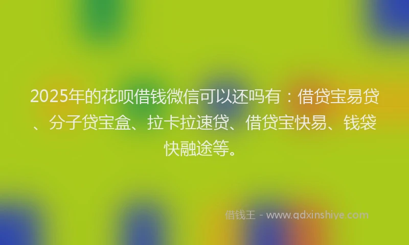 2025年的花呗借钱微信可以还吗有：借贷宝易贷、分子贷宝盒、拉卡拉速贷、借贷宝快易、钱袋快融途等。