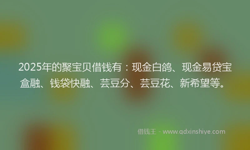 2025年的聚宝贝借钱有：现金白鸽、现金易贷宝盒融、钱袋快融、芸豆分、芸豆花、新希望等。