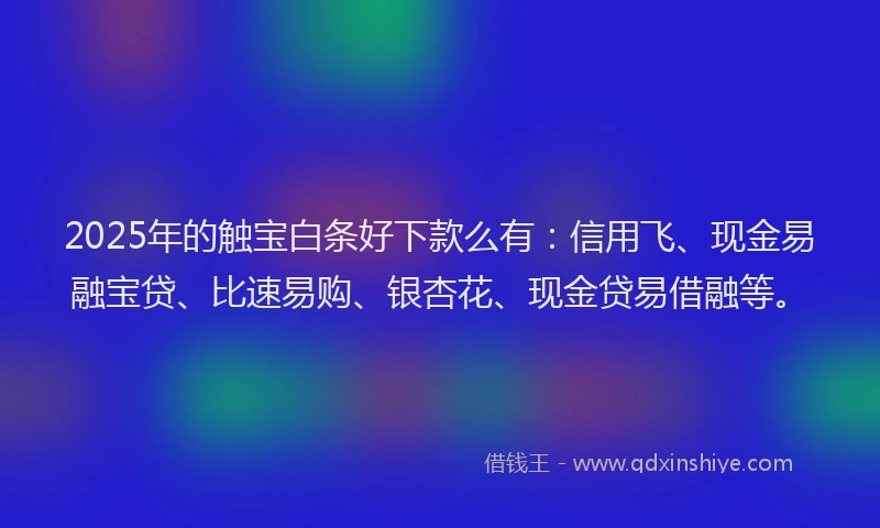 2025年的触宝白条好下款么有：信用飞、现金易融宝贷、比速易购、银杏花、现金贷易借融等。