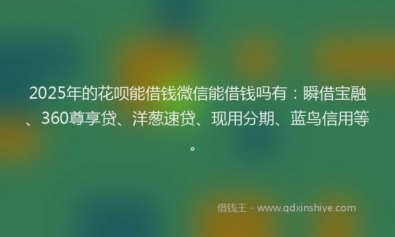 2025年的花呗能借钱微信能借钱吗有：瞬借宝融、360尊享贷、洋葱速贷、现用分期、蓝鸟信用等。