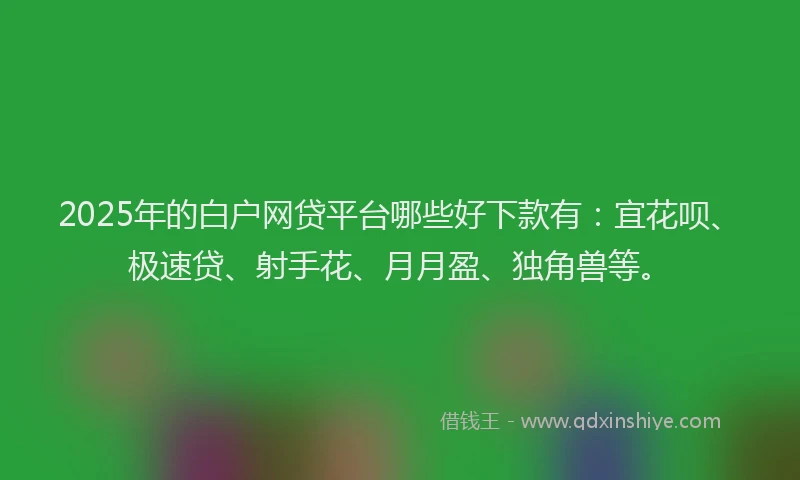 2025年的白户网贷平台哪些好下款有：宜花呗、极速贷、射手花、月月盈、独角兽等。