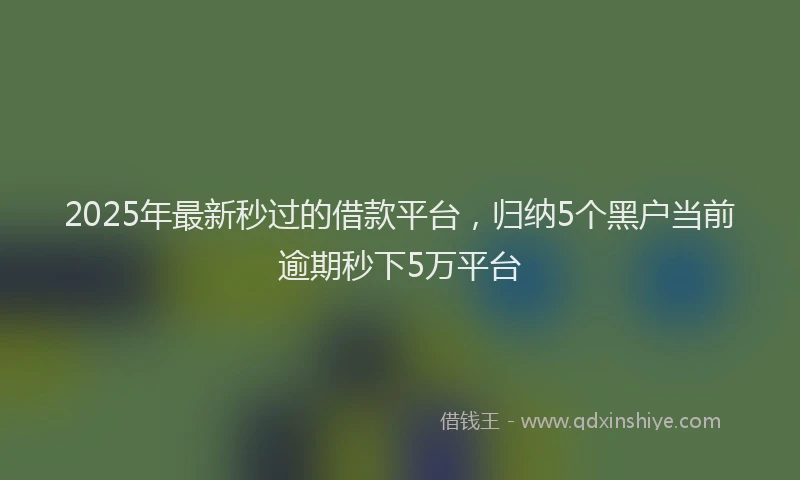 2025年最新秒过的借款平台，归纳5个黑户当前逾期秒下5万平台
