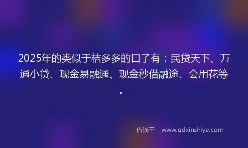 2025年的类似于桔多多的口子有：民贷天下、万通小贷、现金易融通、现金秒借融途、会用花等。