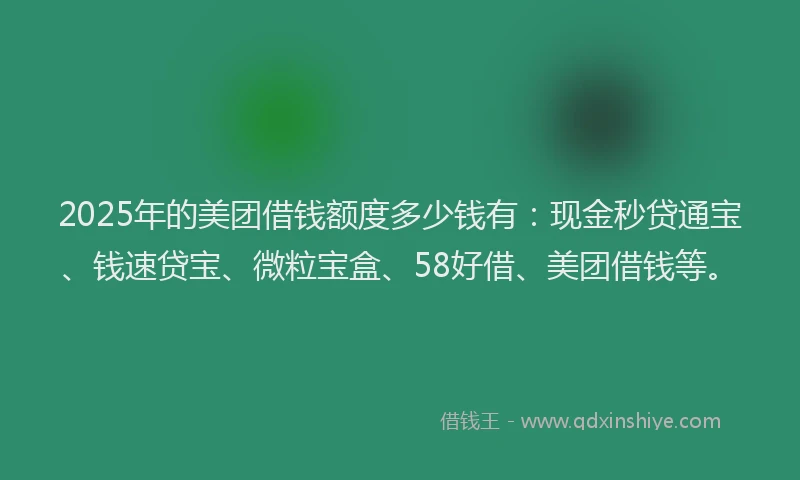 2025年的美团借钱额度多少钱有：现金秒贷通宝、钱速贷宝、微粒宝盒、58好借、美团借钱等。