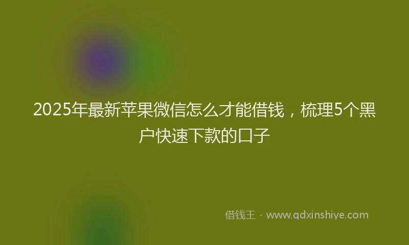 2025年最新苹果微信怎么才能借钱，梳理5个黑户快速下款的口子