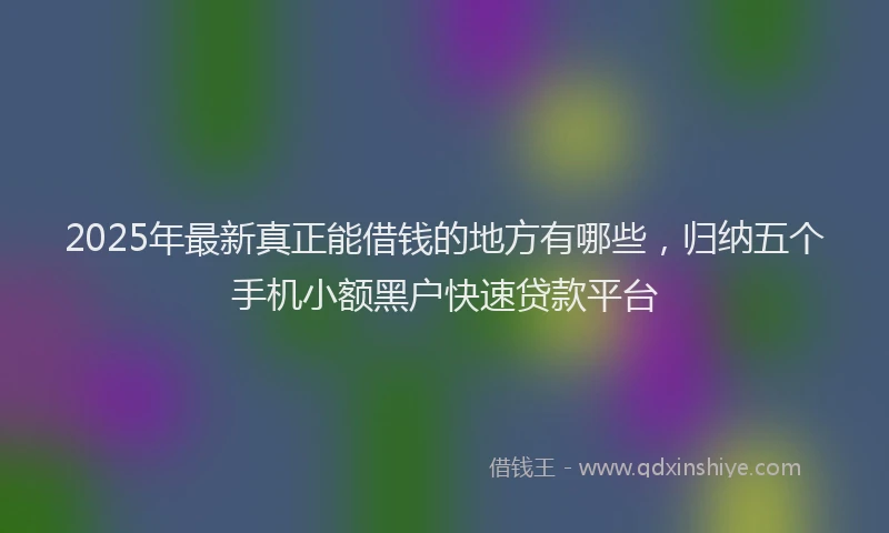2025年最新真正能借钱的地方有哪些，归纳五个手机小额黑户快速贷款平台