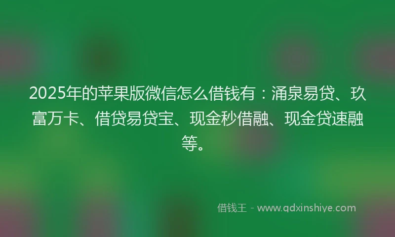 2025年的苹果版微信怎么借钱有：涌泉易贷、玖富万卡、借贷易贷宝、现金秒借融、现金贷速融等。