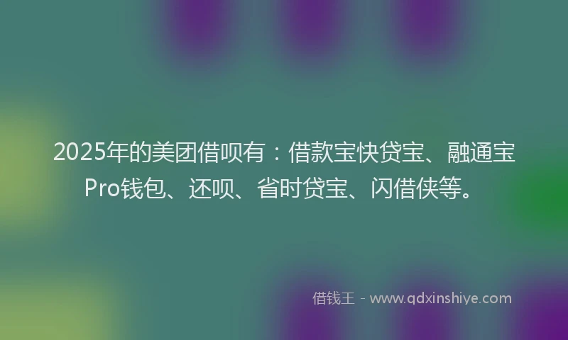 2025年的美团借呗有：借款宝快贷宝、融通宝Pro钱包、还呗、省时贷宝、闪借侠等。