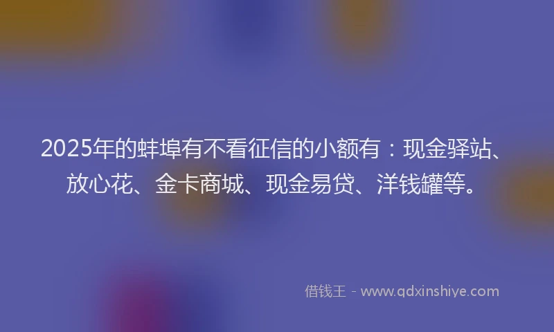 2025年的蚌埠有不看征信的小额有：现金驿站、放心花、金卡商城、现金易贷、洋钱罐等。