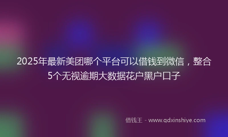 2025年最新美团哪个平台可以借钱到微信，整合5个无视逾期大数据花户黑户口子