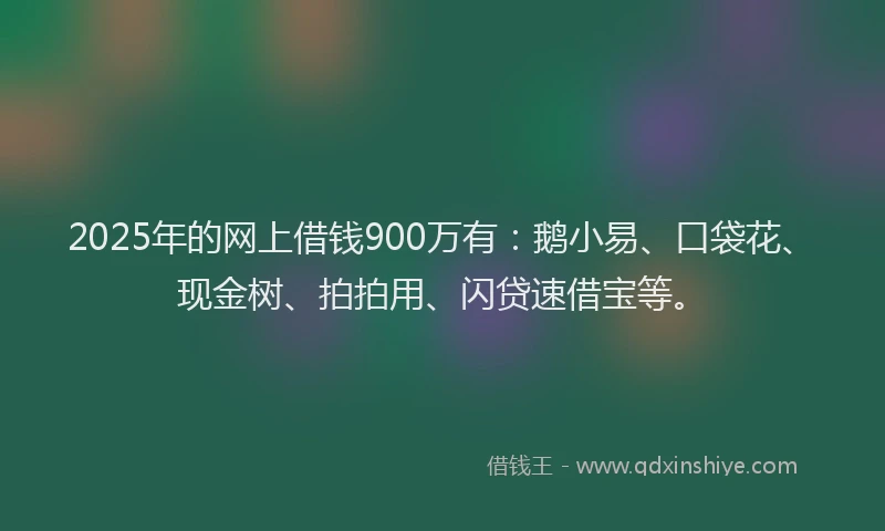 2025年的网上借钱900万有：鹅小易、口袋花、现金树、拍拍用、闪贷速借宝等。