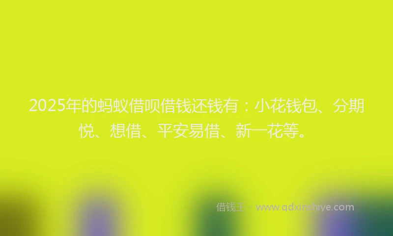 2025年的蚂蚁借呗借钱还钱有：小花钱包、分期悦、想借、平安易借、新一花等。