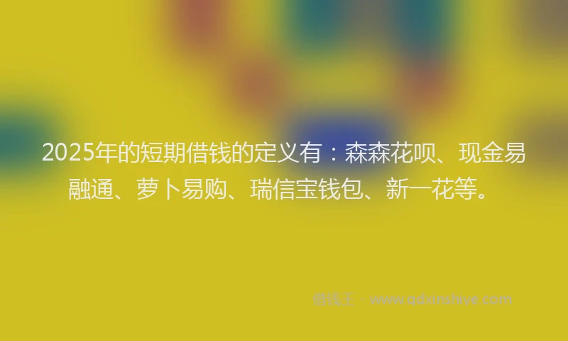 2025年的短期借钱的定义有：森森花呗、现金易融通、萝卜易购、瑞信宝钱包、新一花等。