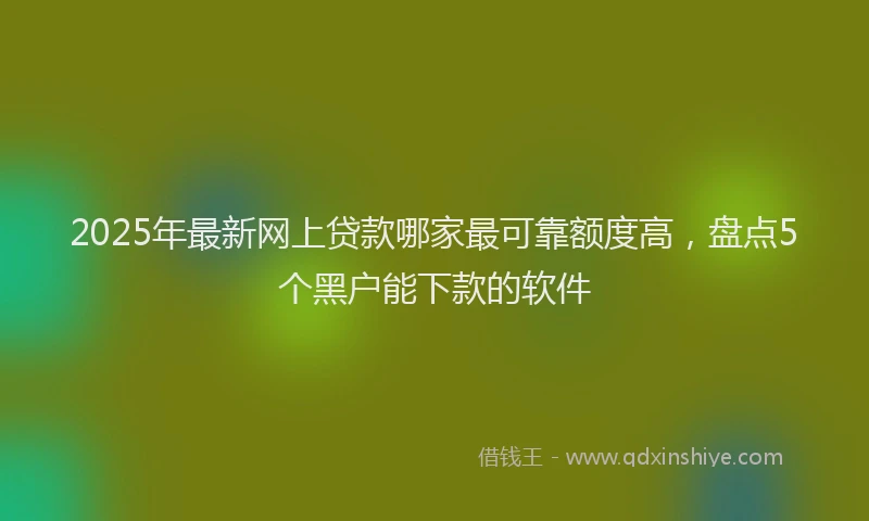 2025年最新网上贷款哪家最可靠额度高，盘点5个黑户能下款的软件