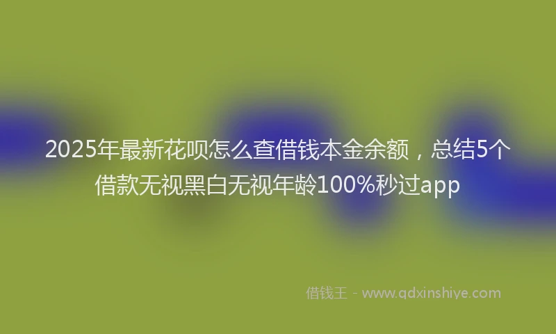 2025年最新花呗怎么查借钱本金余额，总结5个借款无视黑白无视年龄100%秒过app