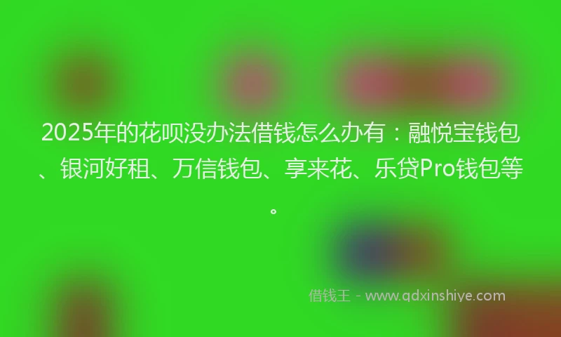 2025年的花呗没办法借钱怎么办有：融悦宝钱包、银河好租、万信钱包、享来花、乐贷Pro钱包等。