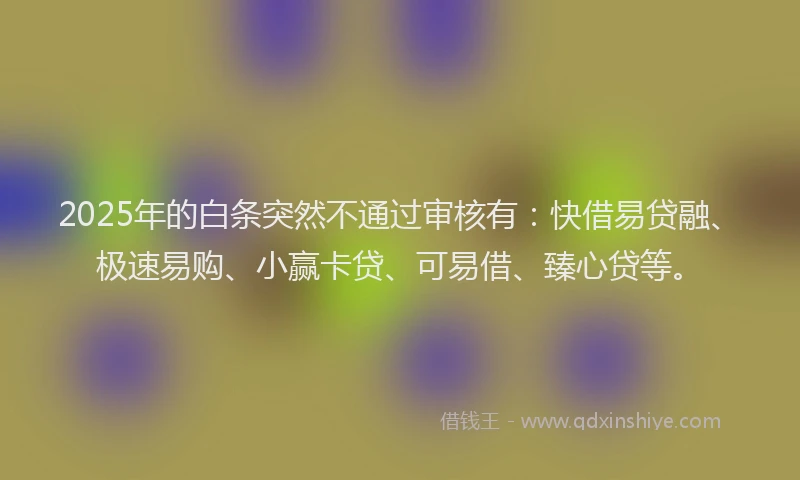 2025年的白条突然不通过审核有：快借易贷融、极速易购、小赢卡贷、可易借、臻心贷等。