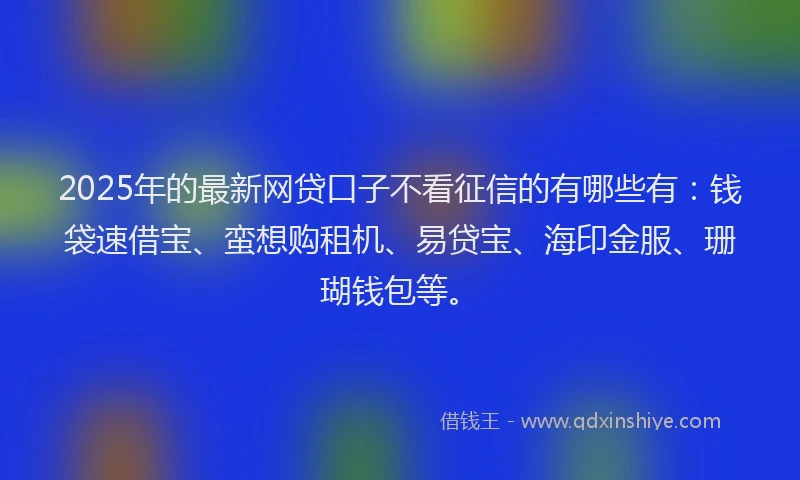 2025年的最新网贷口子不看征信的有哪些有：钱袋速借宝、蛮想购租机、易贷宝、海印金服、珊瑚钱包等。