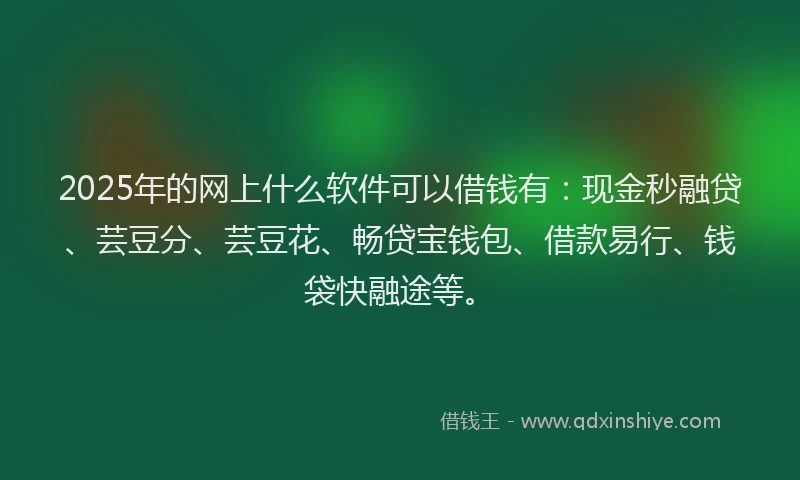 2025年的网上什么软件可以借钱有：现金秒融贷、芸豆分、芸豆花、畅贷宝钱包、借款易行、钱袋快融途等。