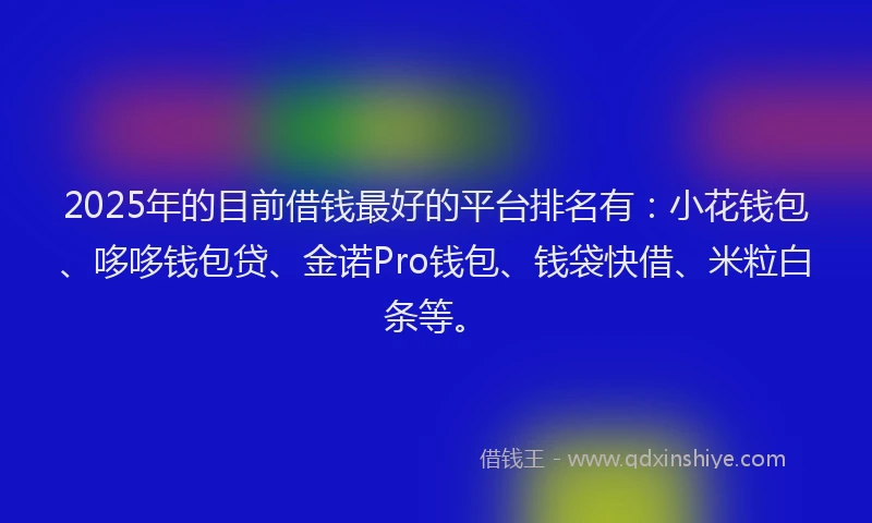 2025年的目前借钱最好的平台排名有：小花钱包、哆哆钱包贷、金诺Pro钱包、钱袋快借、米粒白条等。