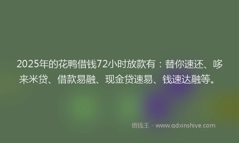 2025年的花鸭借钱72小时放款有：替你速还、哆来米贷、借款易融、现金贷速易、钱速达融等。