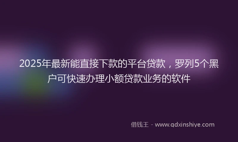 2025年最新能直接下款的平台贷款，罗列5个黑户可快速办理小额贷款业务的软件