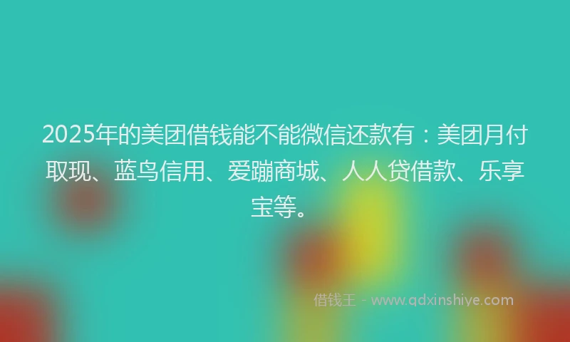 2025年的美团借钱能不能微信还款有：美团月付取现、蓝鸟信用、爱蹦商城、人人贷借款、乐享宝等。