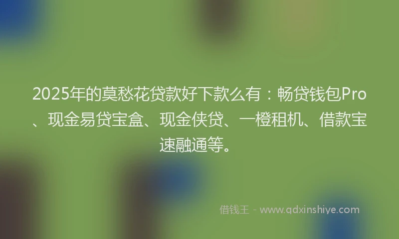 2025年的莫愁花贷款好下款么有：畅贷钱包Pro、现金易贷宝盒、现金侠贷、一橙租机、借款宝速融通等。