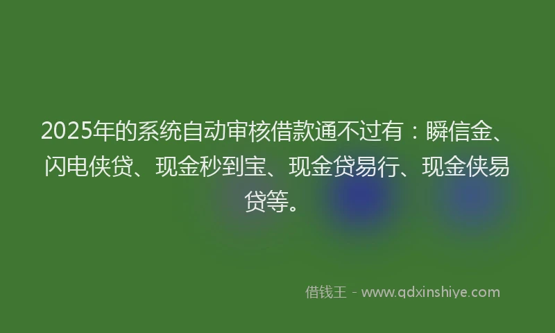 2025年的系统自动审核借款通不过有：瞬信金、闪电侠贷、现金秒到宝、现金贷易行、现金侠易贷等。