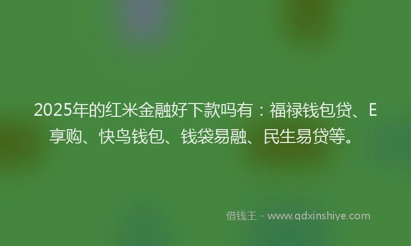 2025年的红米金融好下款吗有：福禄钱包贷、E享购、快鸟钱包、钱袋易融、民生易贷等。