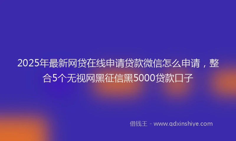 2025年最新网贷在线申请贷款微信怎么申请，整合5个无视网黑征信黑5000贷款口子