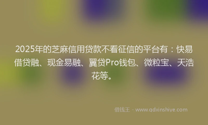 2025年的芝麻信用贷款不看征信的平台有：快易借贷融、现金易融、翼贷Pro钱包、微粒宝、天浩花等。