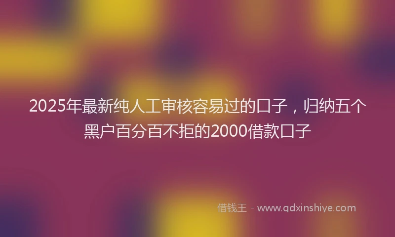 2025年最新纯人工审核容易过的口子，归纳五个黑户百分百不拒的2000借款口子