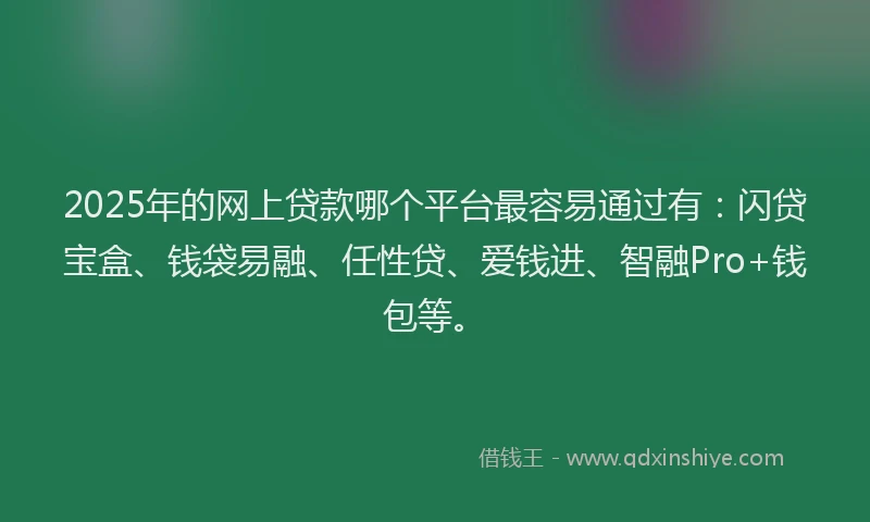 2025年的网上贷款哪个平台最容易通过有：闪贷宝盒、钱袋易融、任性贷、爱钱进、智融Pro+钱包等。