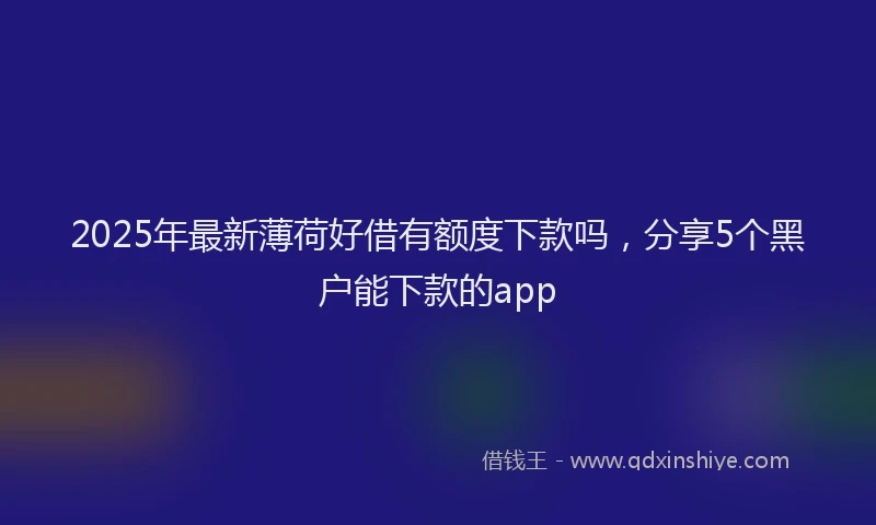 2025年最新薄荷好借有额度下款吗，分享5个黑户能下款的app