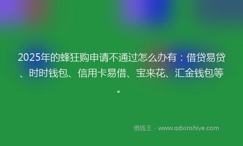2025年的蜂狂购申请不通过怎么办有：借贷易贷、时时钱包、信用卡易借、宝来花、汇金钱包等。