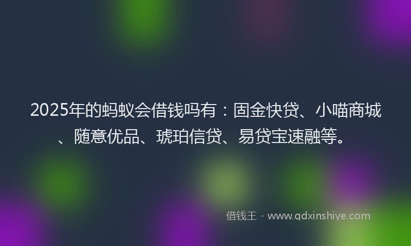 2025年的蚂蚁会借钱吗有：固金快贷、小喵商城、随意优品、琥珀信贷、易贷宝速融等。