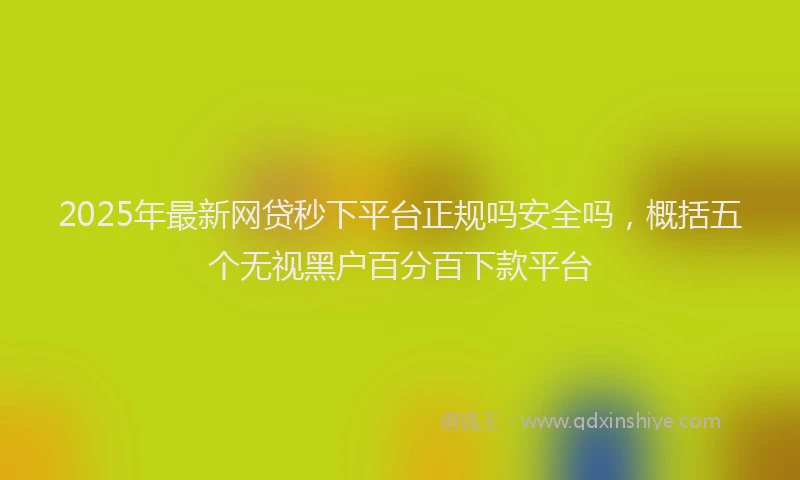 2025年最新网贷秒下平台正规吗安全吗，概括五个无视黑户百分百下款平台