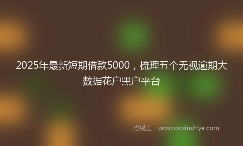 2025年最新短期借款5000，梳理五个无视逾期大数据花户黑户平台