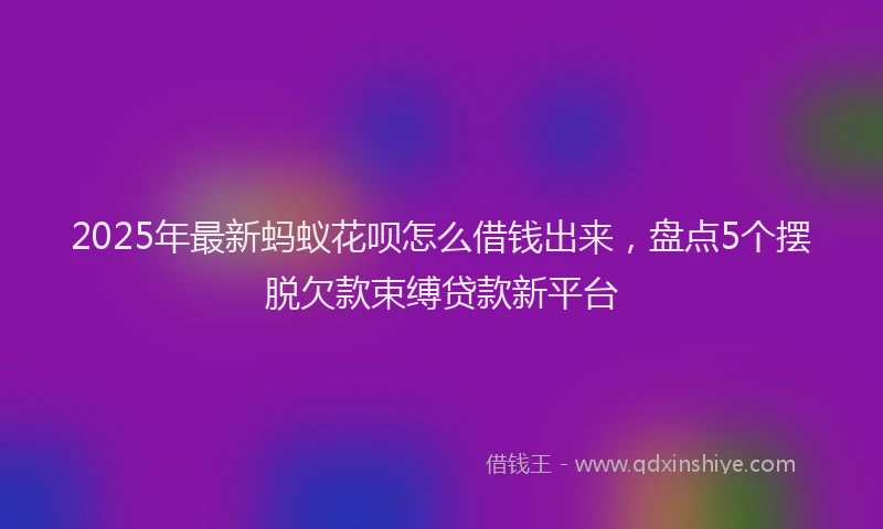 2025年最新蚂蚁花呗怎么借钱出来，盘点5个摆脱欠款束缚贷款新平台