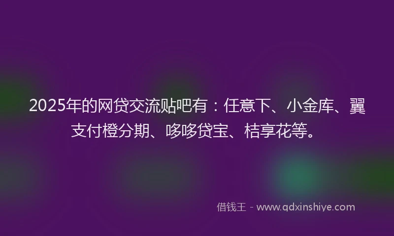 2025年的网贷交流贴吧有：任意下、小金库、翼支付橙分期、哆哆贷宝、桔享花等。
