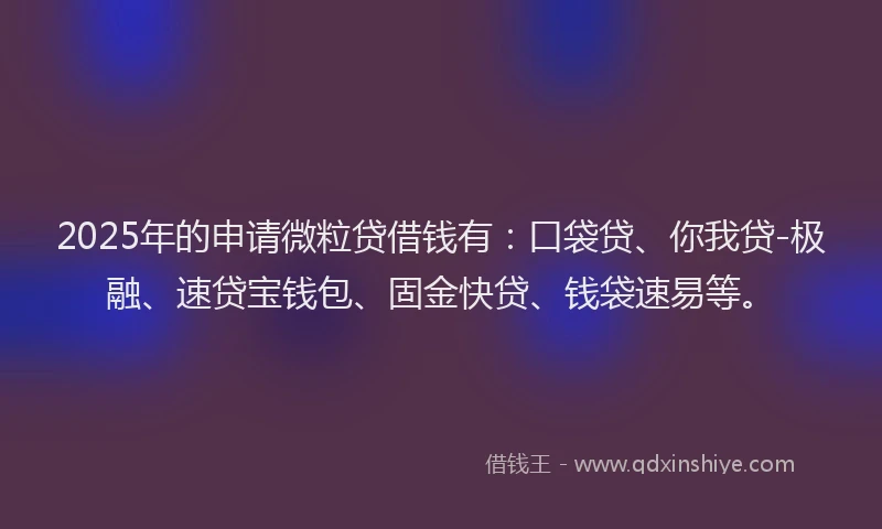2025年的申请微粒贷借钱有：口袋贷、你我贷-极融、速贷宝钱包、固金快贷、钱袋速易等。