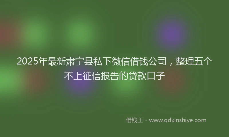 2025年最新肃宁县私下微信借钱公司，整理五个不上征信报告的贷款口子