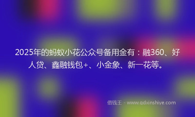 2025年的蚂蚁小花公众号备用金有：融360、好人贷、鑫融钱包+、小金象、新一花等。